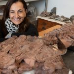 Trascendental descubrimiento de un tetrápodo basal gigante desafía las hipótesis actuales sobre la evolución temprana de los vertebrados terrestres