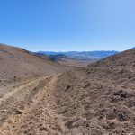 Desentrañando los mecanismos genéticos y controles paleoambientales de las acumulaciones masivas de ostras del Cretácico temprano, Cuenca Neuquina, Argentina